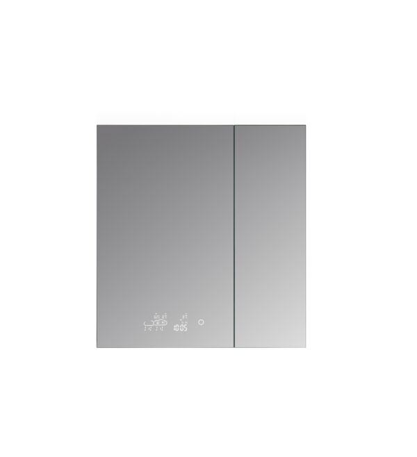 Savera 30 W x 32 H Recessed or Surface-Mount LED Mirror Medicine Cabinet with Defogger