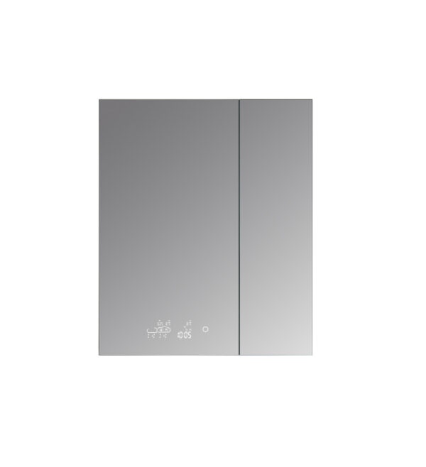 Savera 30 W x 36 H Recessed or Surface-Mount LED Mirror Medicine Cabinet with Defogger