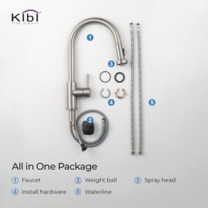 KIBI USA C-KKF2002-KSD100 Casa 16 1/2 Inch Single Hole Deck Mount Single Level Pull-Down Kitchen Faucet with Sprayer and Soap Dispenser