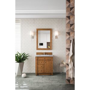 James Martin 157-V30-SBR-3AF Bristol 30 Inch Single Vanity in Saddle Brown with 3 CM Arctic Fall Solid Surface Top