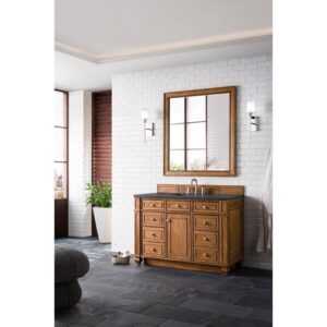 James Martin 157-V48-SBR-3CSP Bristol 48 Inch Single Vanity in Saddle Brown with 3 CM Charcoal Soapstone Quartz Top