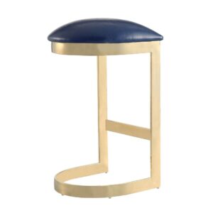 Manhattan Comfort Aura 28.54 in. Blue and Polished Brass Stainless Steel Bar Stool (Set of 2)