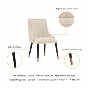 Manhattan Comfort Modern Eda Velvet Dining Chair in Midnight Cream- Set of 2