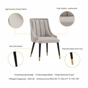 Manhattan Comfort Modern Eda Velvet and Leatherette Dining Chair in Grey- Set of 2