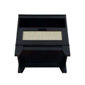 Manhattan Comfort Sheridan Modern Cane Nightstand in Black- Set of 2