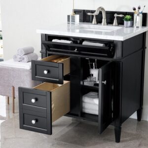 James Martin 650-V30-BKO-3AF Brittany 30 Inch Single Vanity in Black Onyx with 3 cm Arctic Fall Solid Surface Top