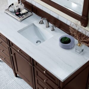 James Martin 650-V60S-BNM-3AF Brittany 60 Inch Burnished Mahogany Single Vanity with 3 cm Arctic Fall Solid Surface Top