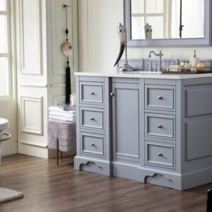 James Martin 825-V48-SL-3AF De Soto 49 Inch Single Vanity in Silver Gray with 3 cm Arctic Fall Solid Surface Top