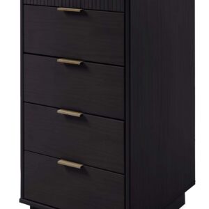 Manhattan Comfort Granville Tall 23.62" Modern Narrow Dresser with 5 Full Extension Drawers in Black