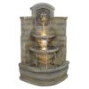 Design Toscano DW73048 18 1/2 Inch Saint Remy Lion Corner Fountain