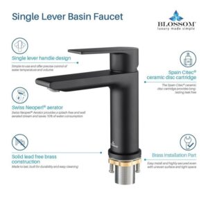 Blossom F01 102 6 1/2 Inch Single Handle Bathroom Faucet