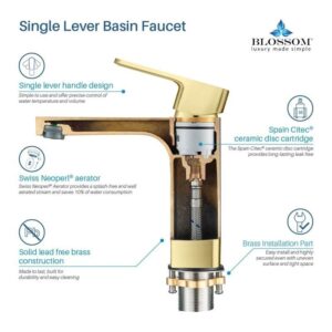 Blossom F01 118 6 1/4 Inch Single Handle Bathroom Faucet