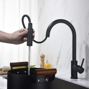 Blossom F01 206 16 1/2 Inch Single Handle Pull Down Kitchen Faucet