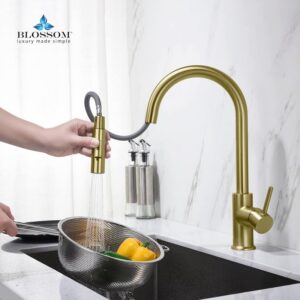 Blossom F01 206 16 1/2 Inch Single Handle Pull Down Kitchen Faucet