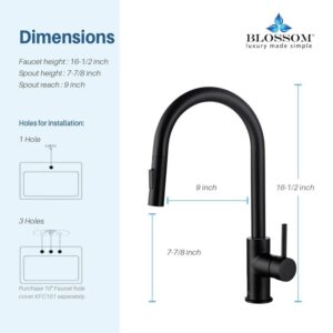 Blossom F01 206 16 1/2 Inch Single Handle Pull Down Kitchen Faucet