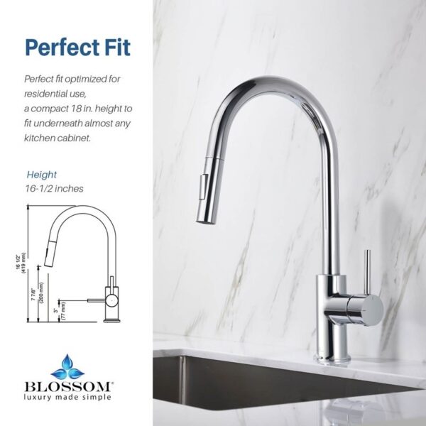 Blossom F01 206 16 1/2 Inch Single Handle Pull Down Kitchen Faucet