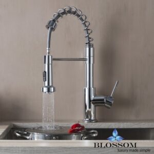 Blossom F01 205 01 Single Handle Pull Down Kitchen Faucet in Chrome