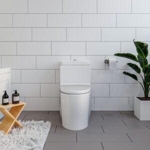 Altair T280 Savona Dual Flush Elongated One-Piece Toilet with Seat - White