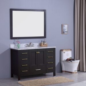 Legion Furniture WT7248-E 49 Inch Vanity Set with Mirror in Espresso, No Faucet