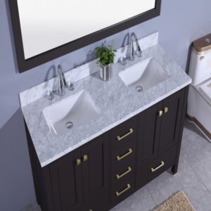 Legion Furniture WT7260-E 61 Inch Vanity Set with Mirror in Espresso, No Faucet