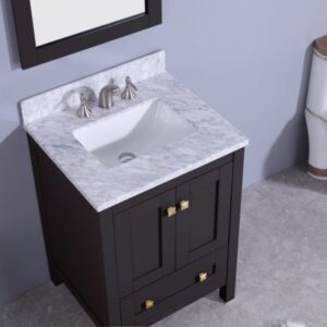 Legion Furniture WT7324-E 25 Inch Vanity Set with Mirror in Espresso, No Faucet