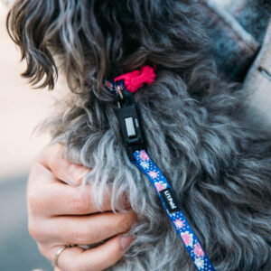 Lil Pals  Reflective Dog Collar