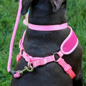 Comfort Soft  Wrap Adjustable Dog Harness