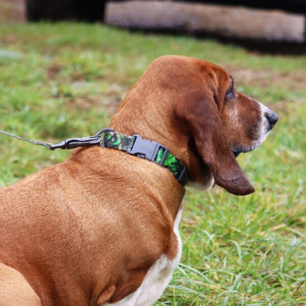 Water & Woods Adjustable Dog Collar