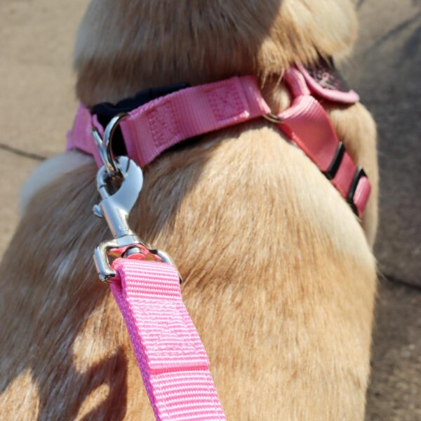 Comfort Soft  Sport Wrap Adjustable Dog Harness