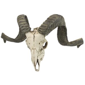 Design Toscano CL3377 18 1/2 Inch Corsican Ram Skull and Horns Plaque