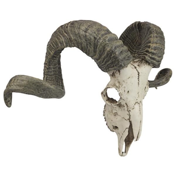 Design Toscano CL3377 18 1/2 Inch Corsican Ram Skull and Horns Plaque