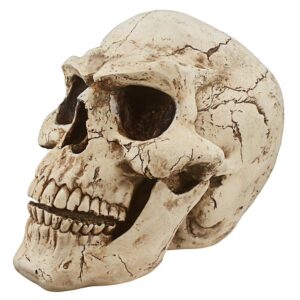 Design Toscano CL5054 13 Inch Sinister Simon Skull