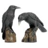 Design Toscano CL6170 4 1/2 Inch Mystic Night Raven Statues