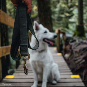 New Earth  Soy Dog Leash