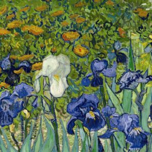 Design Toscano DA4732 34 1/4 Inch Irises 1889 Canvas Replica Painting - Medium