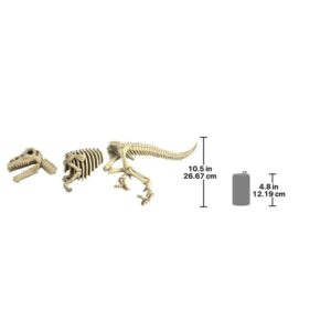 Design Toscano DB383021 27 Inch Raptor Skeleton Statue