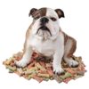 Design Toscano DB383052 14 Inch Buster the Bulldog Statue