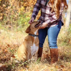 Water & Woods Adjustable Dog Collar