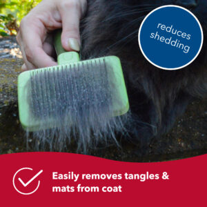 Safari  by Coastal  Cat Self-Cleaning Slicker Brush