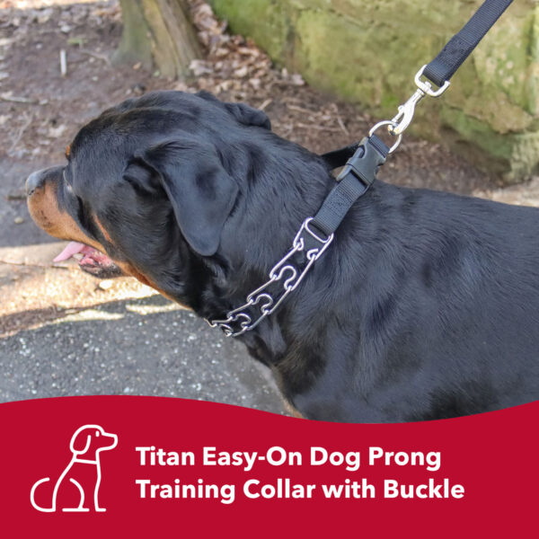 Titan  Easy-On Dog Prong Training Collar with Buckle