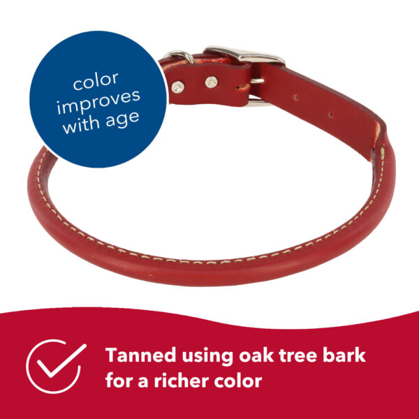 Circle T  Oak Tanned Leather Round Dog Collar