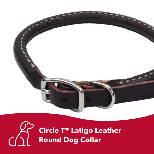 Circle T  Latigo Leather Round Dog Collar