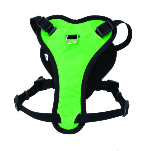 Inspire Adjustable Dog Harness with Handle