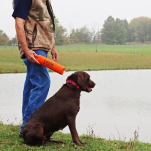 Water & Woods Canvas Dog Training Dummies