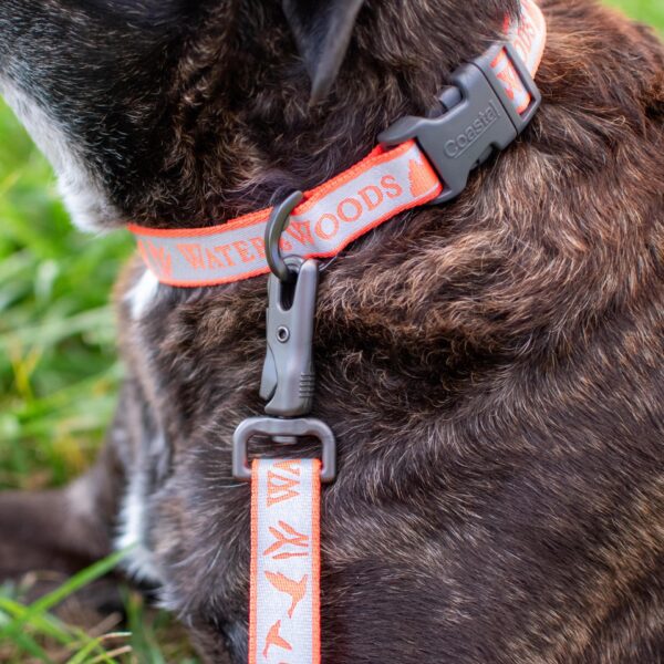 Water & Woods Adjustable Reflective Dog Collar