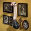 Design Toscano JQ10508 7 1/2 Inch Ostrich Trophy Bird Wall Sculpture