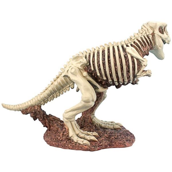 Design Toscano JQ6481 Prehistoric 21 1/2 Inch T-Rex Dinosaur Skeleton Statue