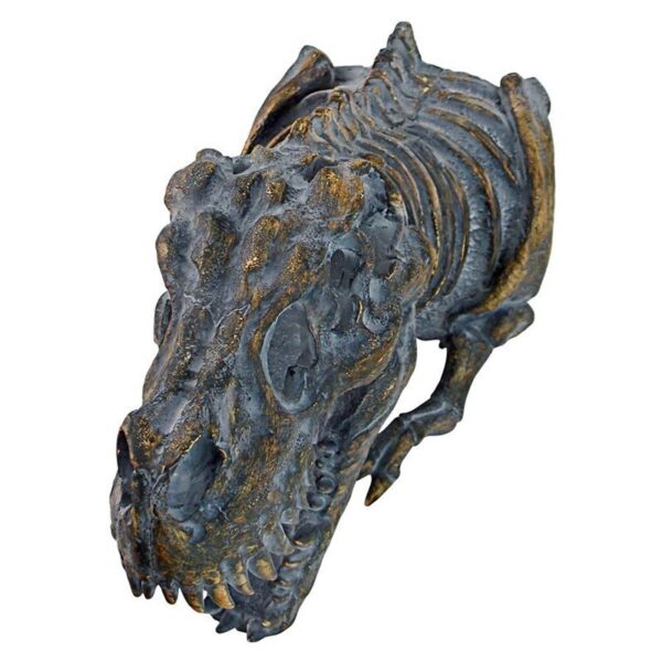 Design Toscano JQ9564 8 1/2 Inch Bones of the T Rex Wall Sculpture