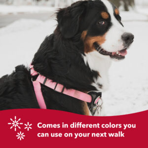 Walk Right!  Front-Connect No-Pull Padded Dog Harness