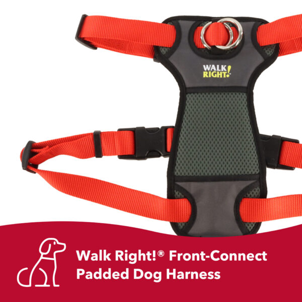 Walk Right!  Front-Connect No-Pull Padded Dog Harness